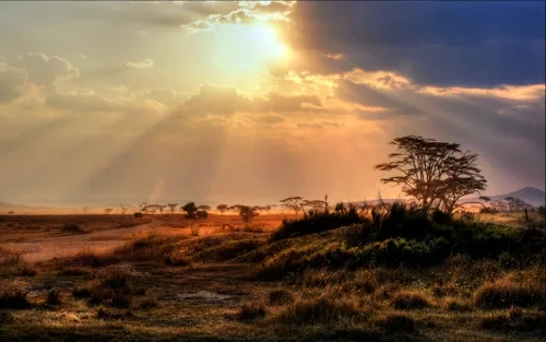 Afrique