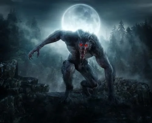 Les loups-garous ou lycanthropes Loup-garou, lycan ou lycanthrope